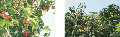 20120322112857818.jpg 20120322112857818.jpg