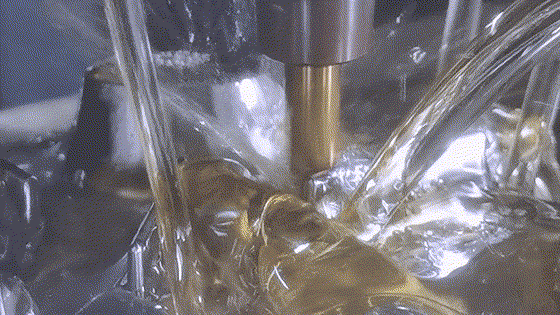 image006.gif image006.gif